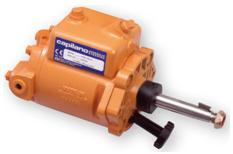 Capilano Pumpen