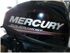 Mercury Aussenborder F 3,5