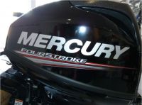 Mercury Aussenborder 15PS F 15 L Langschaft