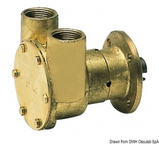 ImpellerPumpe NAUCO Modell FPR040, mit Flansch, wird direkt am Motor montiert ImpellerPumpe NAUCO Modell FPR040, mit Flansch, wird direkt am Motor montiert