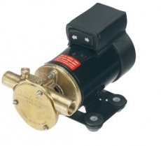 Johnson elektrische Ölwechselpumpe F3B-19 umkehrbar, 12V Johnson elektrische Ölwechselpumpe F3B-19 umkehrbar, 12V