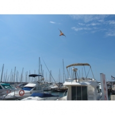 STOPGULL - STOPGULL Falcon 5 mit 7 m Teleskopstange