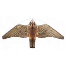 STOPGULL - STOPGULL Falcon 5 mit 5 m Teleskopstange STOPGULL - STOPGULL Falcon 5 mit 5 m Teleskopstange