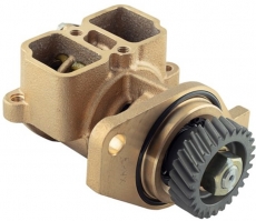 Kühlwasserpumpen für Yanmar Motoren von Albinpump marine 05-01-024 Kühlwasserpumpen für Yanmar Motoren von Albinpump marine 05-01-024
