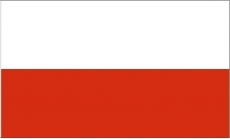 Flagge Thringen 200 x 300mm