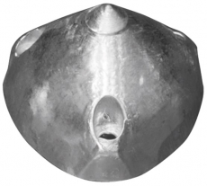Max Prop Anode für Propeller Nabe shaft = 83mm Max Prop Anode für Propeller Nabe shaft = 83mm