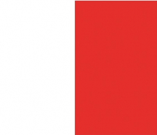 Signalflagge H 30 x 36cm