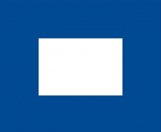 Signalflagge P 30 x 36cm