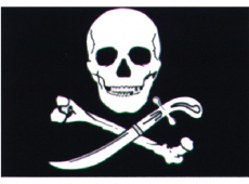 Piratenflagge mit Schwert 30 x 45cm Piratenflagge mit Schwert 30 x 45cm