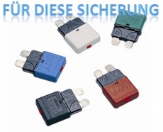Sicherungshalter fr wiederverwendbare Flachsteck-Sicherungen 6 Sicherung