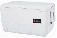 Tragbare Khlboxen, original von IGLOO 34 Liter