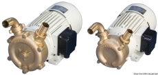 Professionelle selbstansaugende Bilgenpumpe aus Bronze Leistung 75l/min Professionelle selbstansaugende Bilgenpumpe aus Bronze Leistung 75l/min