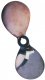 Radice 2-Blatt Schiffspropeller K-11 14x10 25mm Welle rechtsdrehend