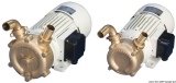 Professionelle selbstansaugende Bilgenpumpe aus Bronze Leistung 75l/min Professionelle selbstansaugende Bilgenpumpe aus Bronze Leistung 75l/min